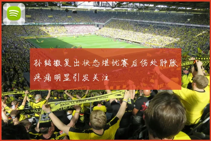 孙铭徽复出状态堪忧赛后伤处肿胀疼痛明显引发关注