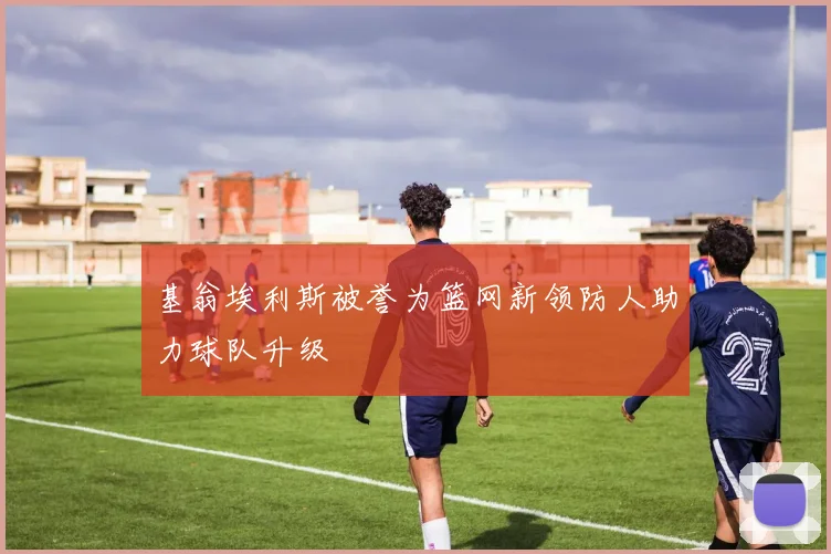 基翁埃利斯被誉为篮网新领防人助力球队升级